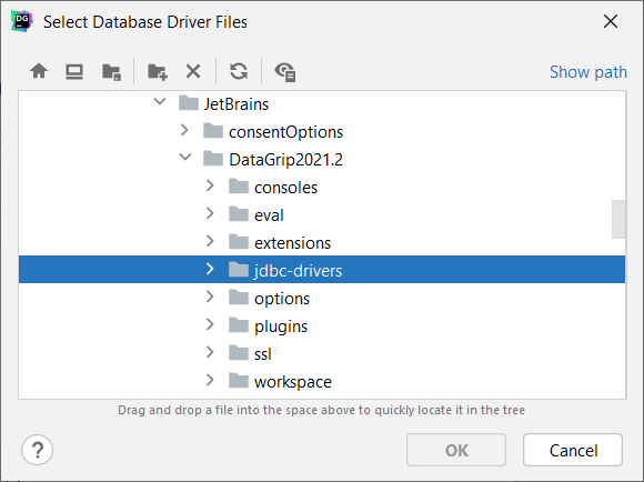 DataGrip driver general tab fields