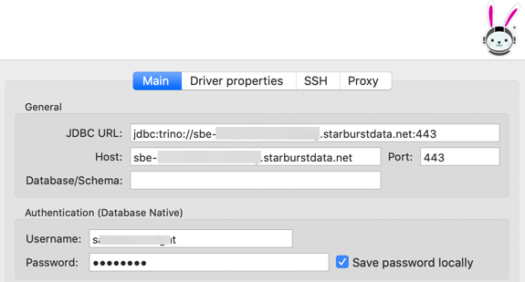 DBeaver connect to database dialog